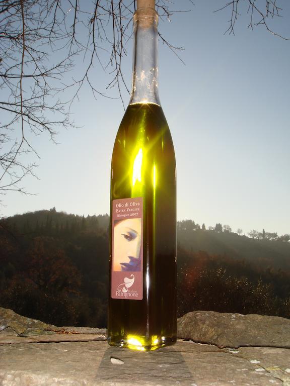 카스텔리나인키안티 Podere Patrignone 게스트하우스 외부 사진